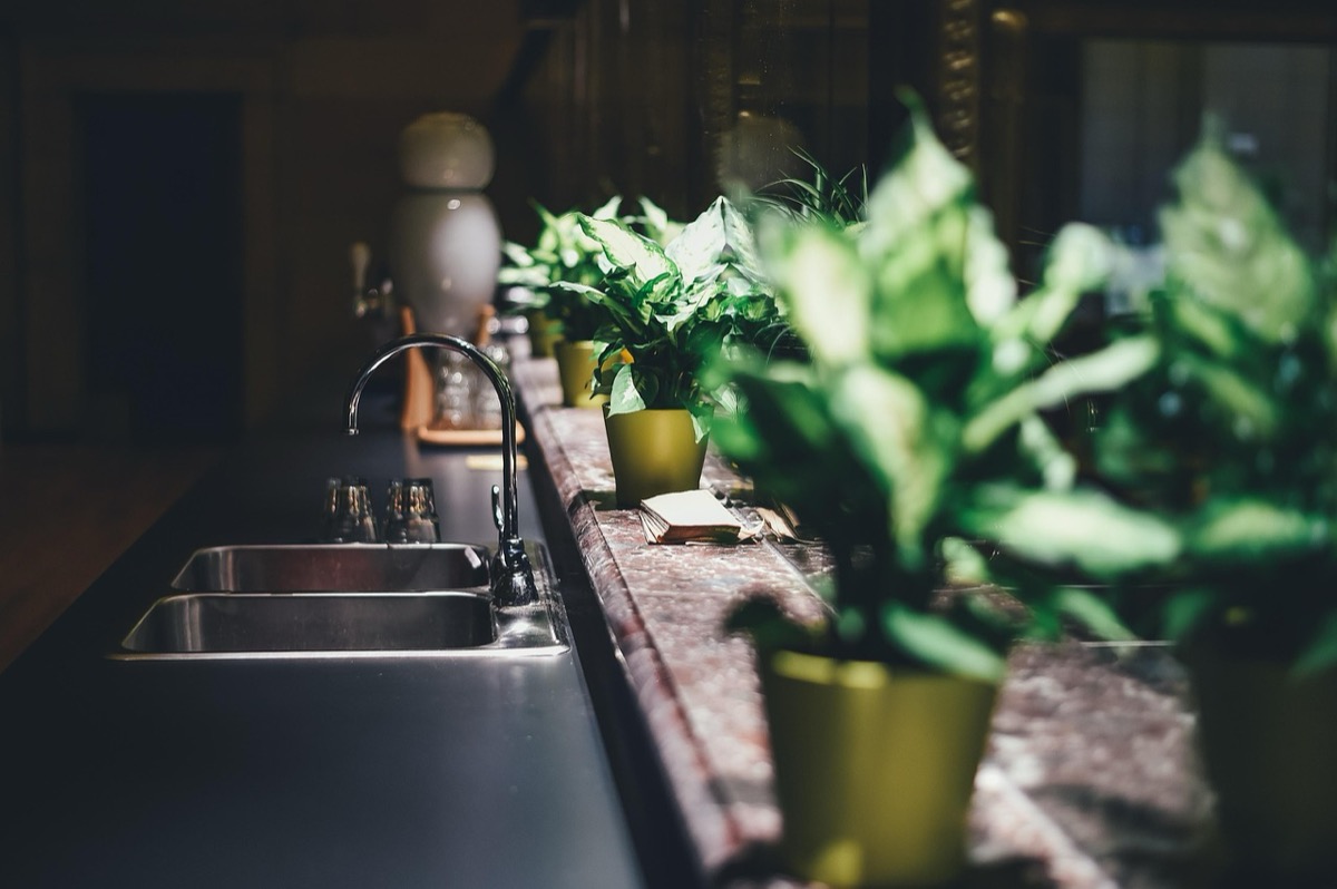 Pouring filtered water from kitchen faucet into glass
